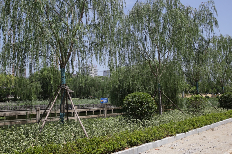 1691659181212465.jpg HW6A5514.jpg