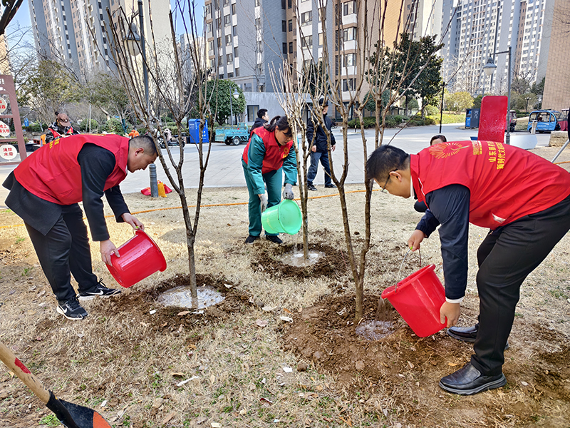 1710905248203845.jpg 22222.jpg